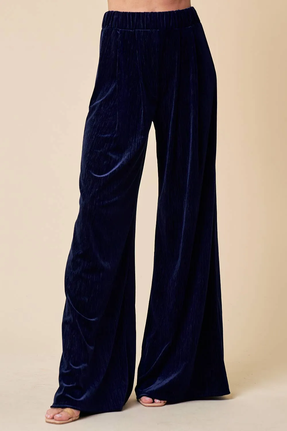 Nicki navy velvet wide leg pants