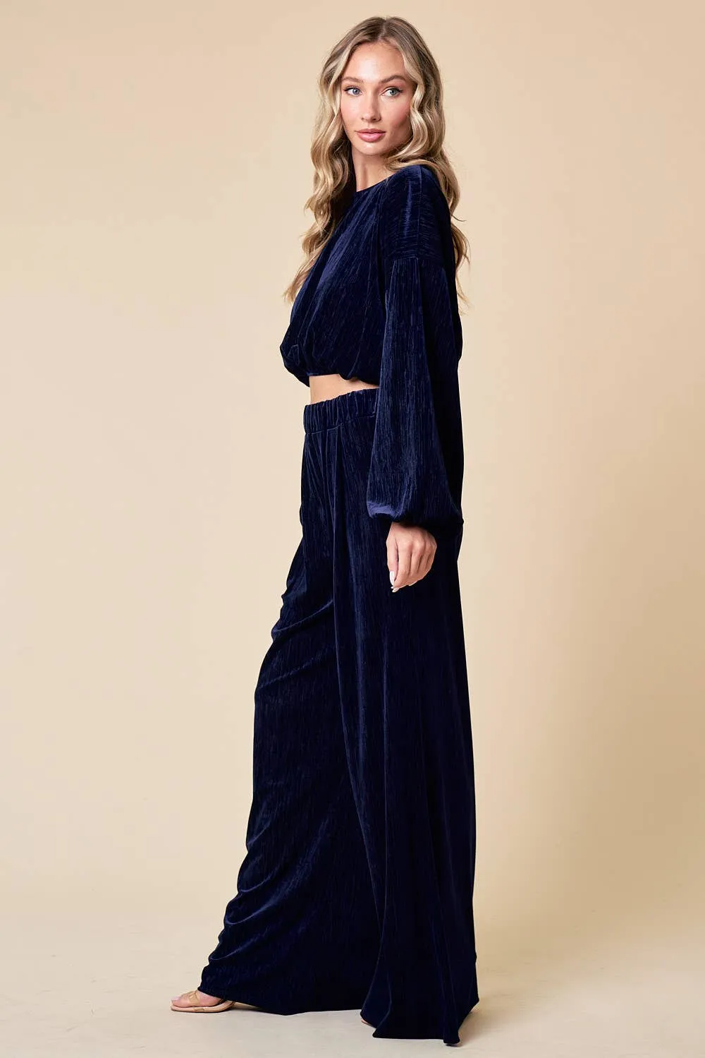 Nicki navy velvet wide leg pants